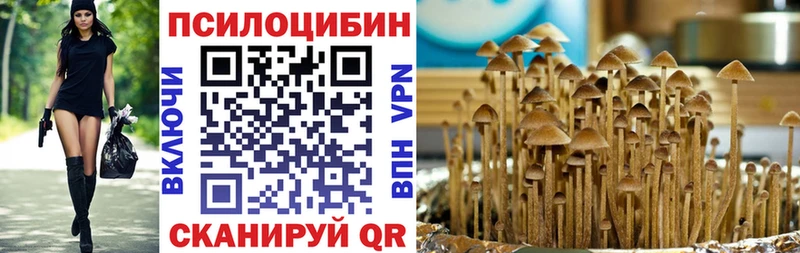 kraken сайт  Бердск  Псилоцибиновые грибы Psilocybe 