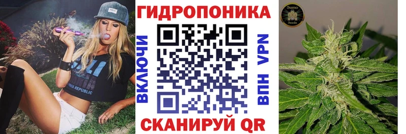 Бошки марихуана сатива  Бердск 